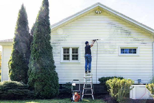 Best Driveway Pressure Washing  in Bayou Cane, LA